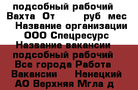 подсобный рабочий . Вахта. От 30 000 руб./мес. › Название организации ­ ООО Спецресурс › Название вакансии ­ подсобный рабочий - Все города Работа » Вакансии   . Ненецкий АО,Верхняя Мгла д.